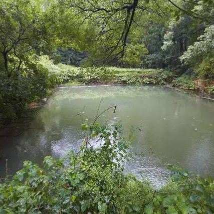 贼岩龙弱什么属性_岩贼龙_贼岩龙在哪