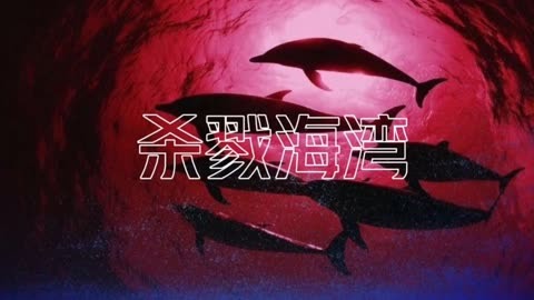 海豚湾电影讲什么_海豚湾在线观看免费完整版_海豚湾电影免费