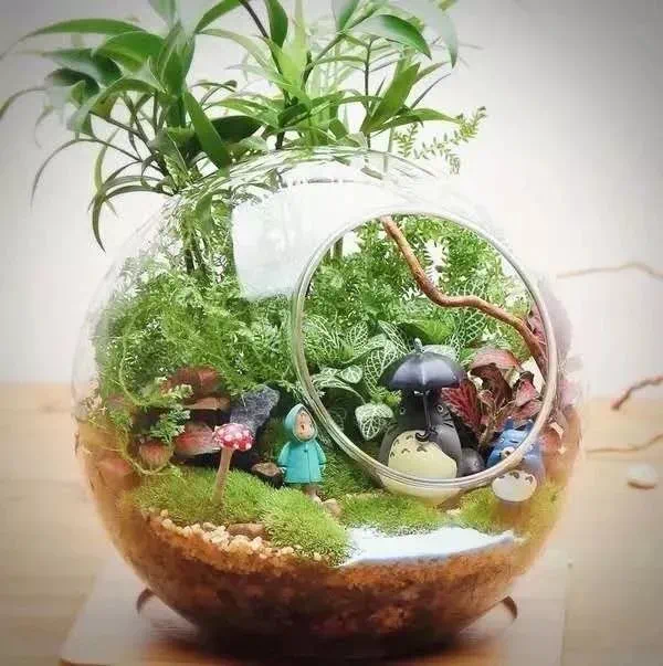 觉醒全集免费观看_暗刃觉醒电视剧全集免费观看_觉醒全集在线播放