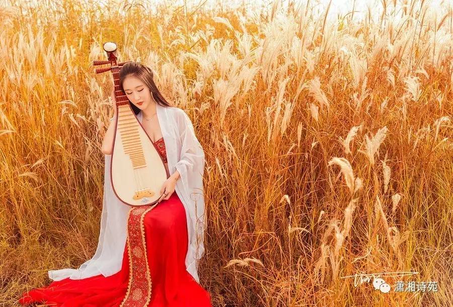 绫华什么意思_华城绫女喜欢谁_华城绫女