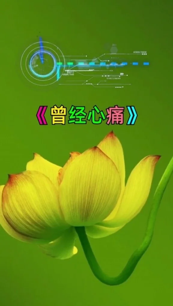 qq被拉黑发消息会显示什么_qq拉黑发消息是什么样子的_qq拉黑了发消息