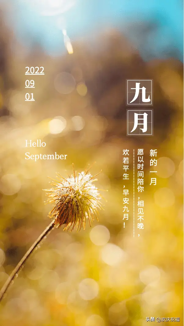 答案是什么游戏_关于9月1日手机游戏答案_答案游戏名
