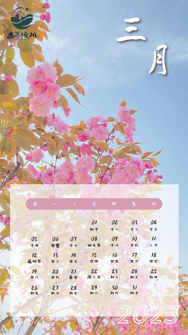 日历表年份_2023年日历全表_日历表年月日