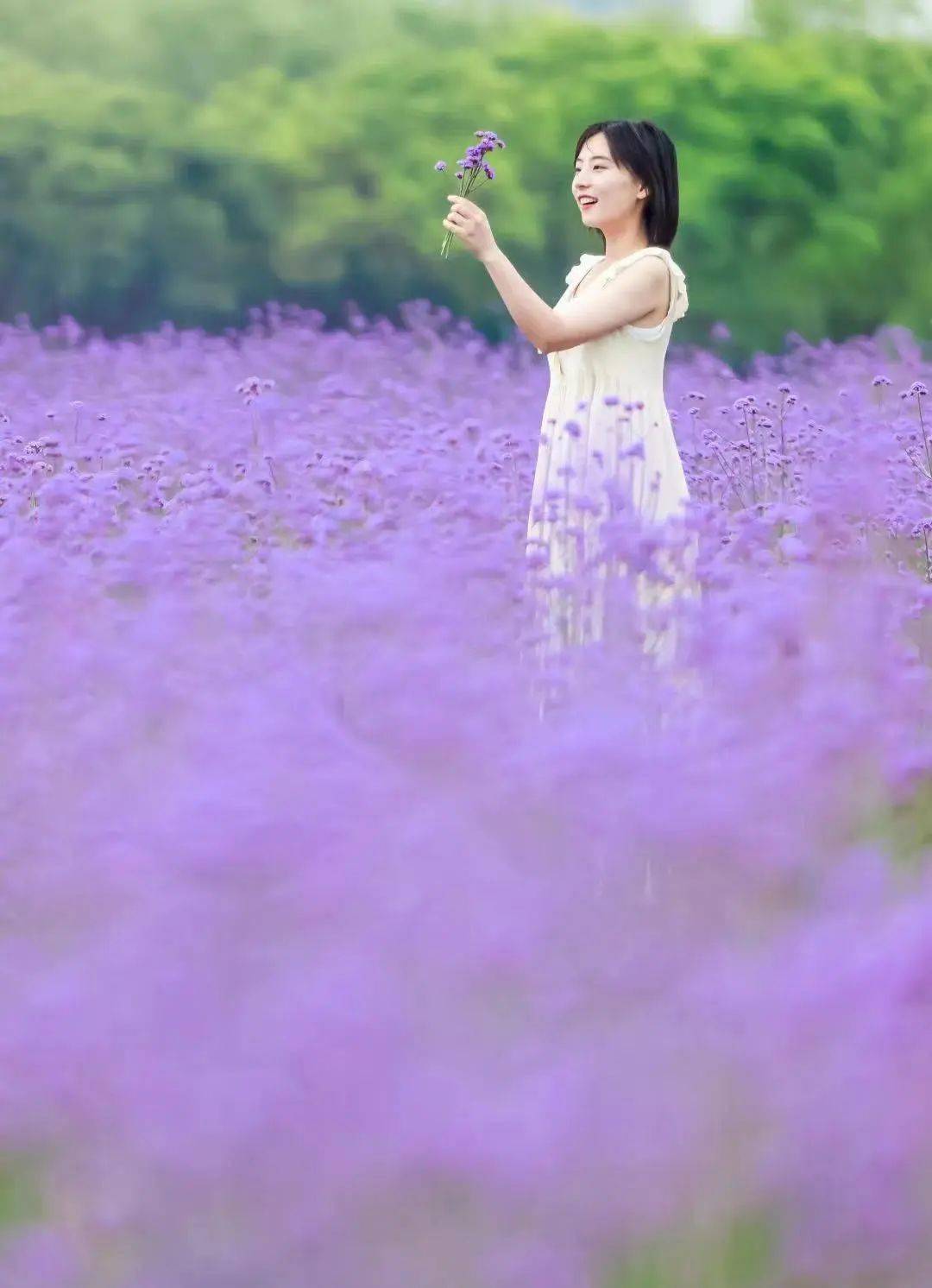 暑假放学_暑假放假时间表_几号放暑假
