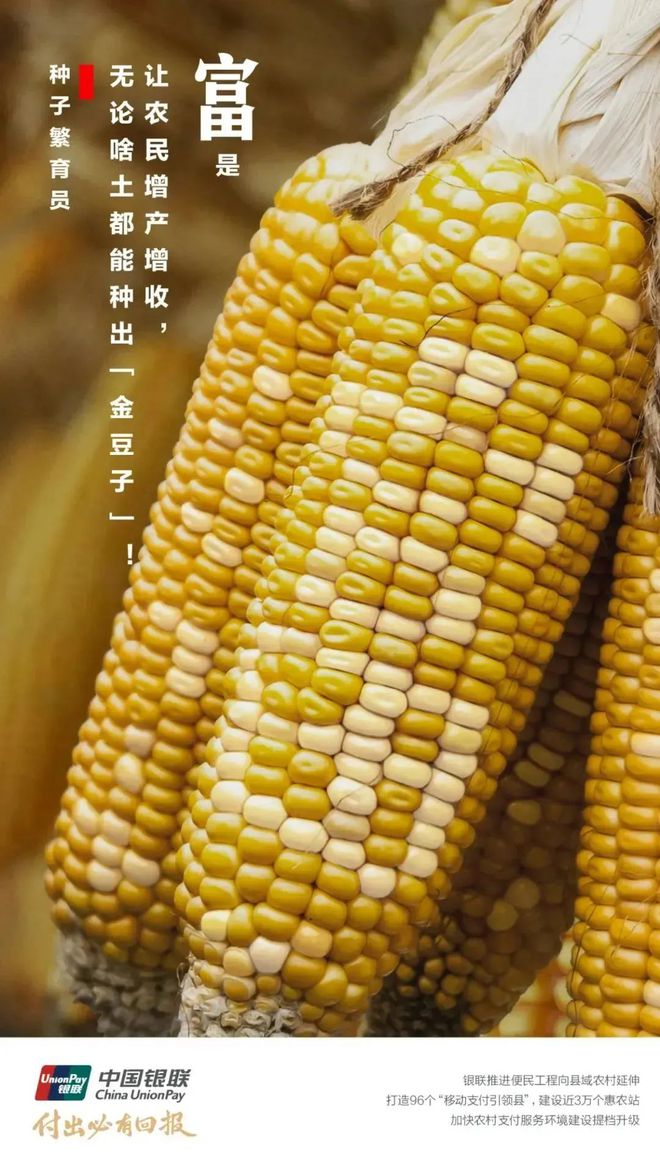 交错场景电视剧免费观看_交错场景简介_交错的场景