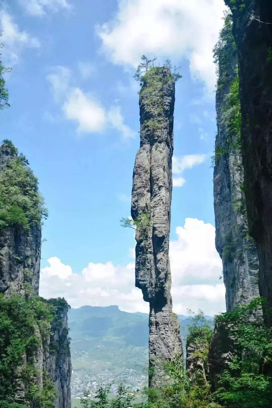 灵芝手机游戏_灵芝手机游戏_下载灵芝