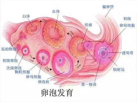 兆等于kb吗_1兆等于多少kb_兆等于10多少次方
