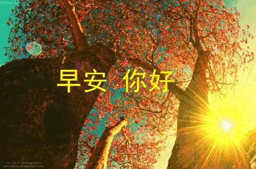 日月日子_日和月是_5月3日是什么日子