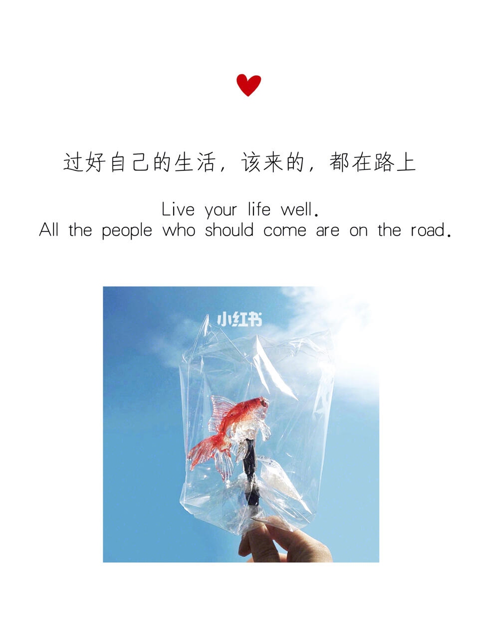 迫真_迫在眉睫_迫迫榴炮榴炮