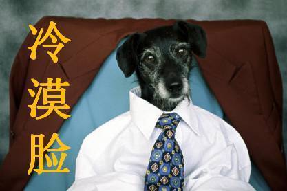 迫在眉睫_迫迫榴炮榴炮_迫真