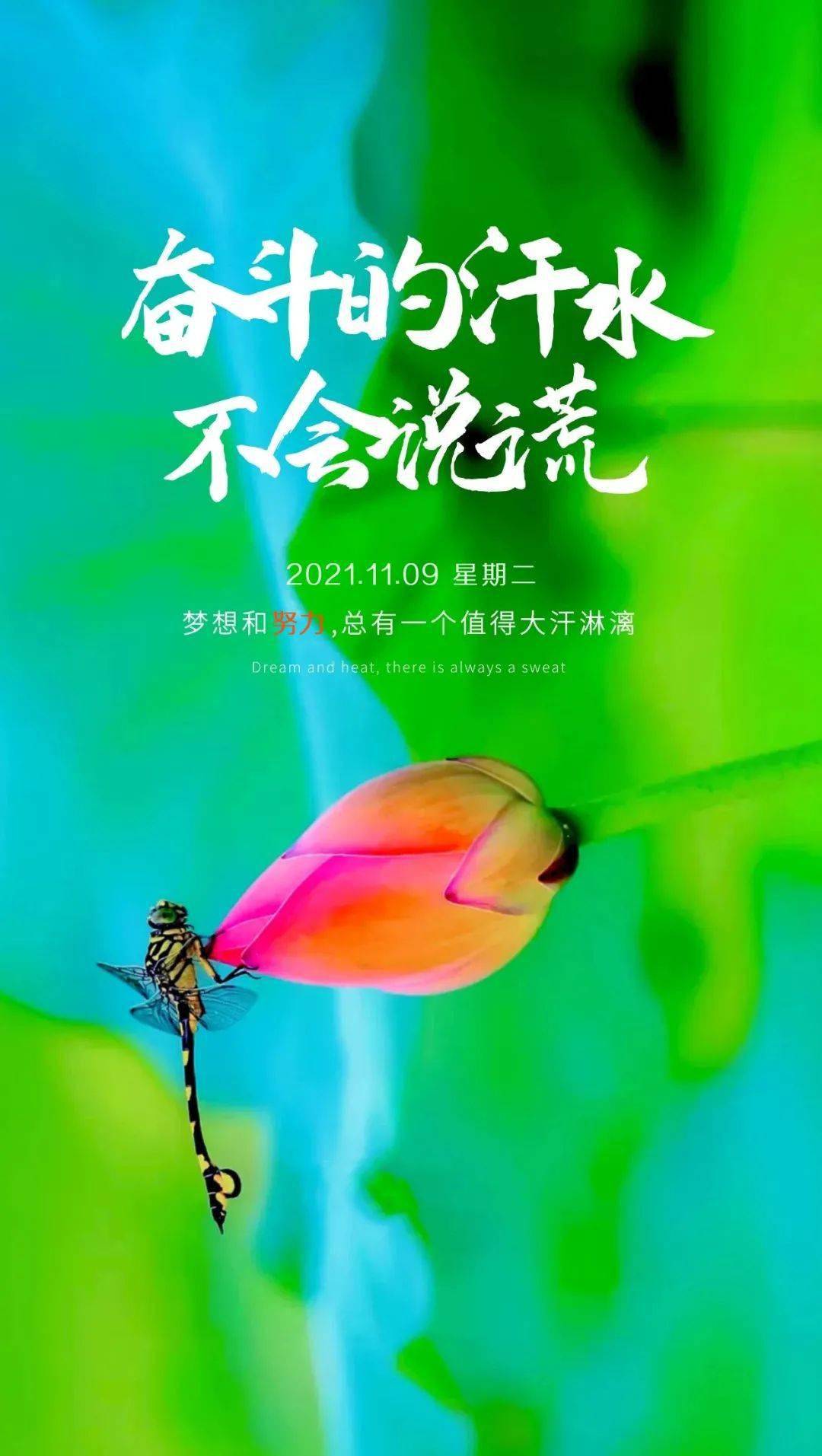 2025年是不是闰月年_2021年11月19日_那年有润月年