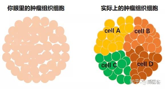 散点图和相关分析_散点图相关性分析_散点图分析相关性强弱