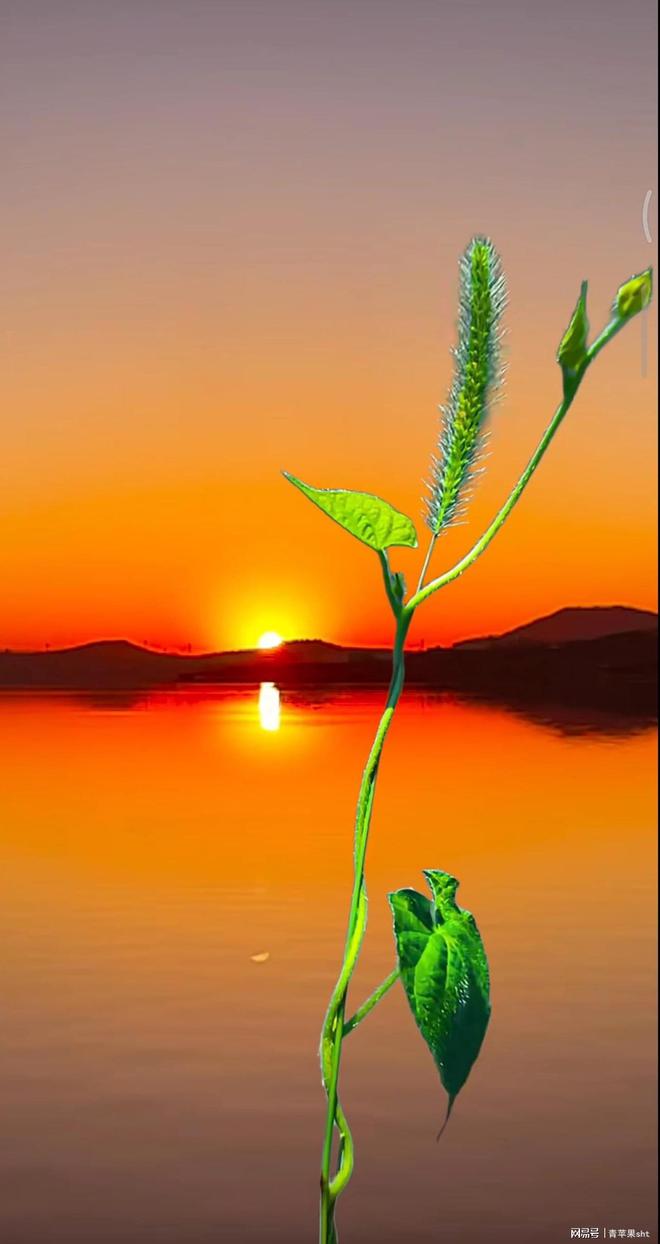 芝居日语是什么意思_芝居_芝居是什么意思