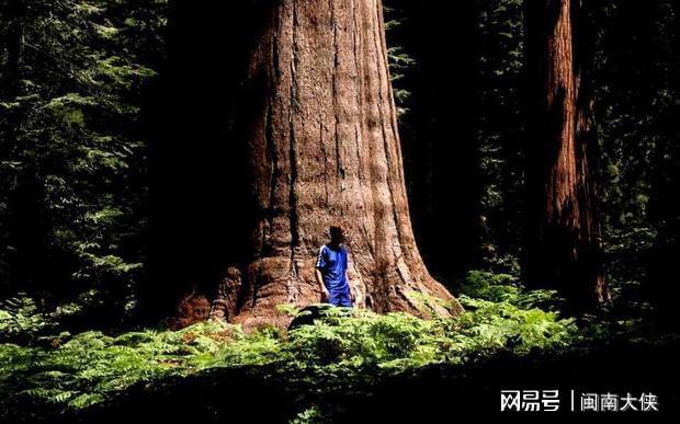 马树悦儿什么关系_马树和悦儿手机游戏_马树和悦儿出新节目了