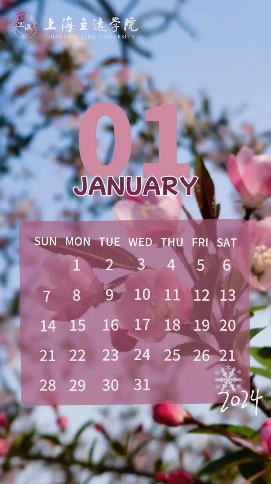 日历2024年_日历2024_日历2024年日历表全年