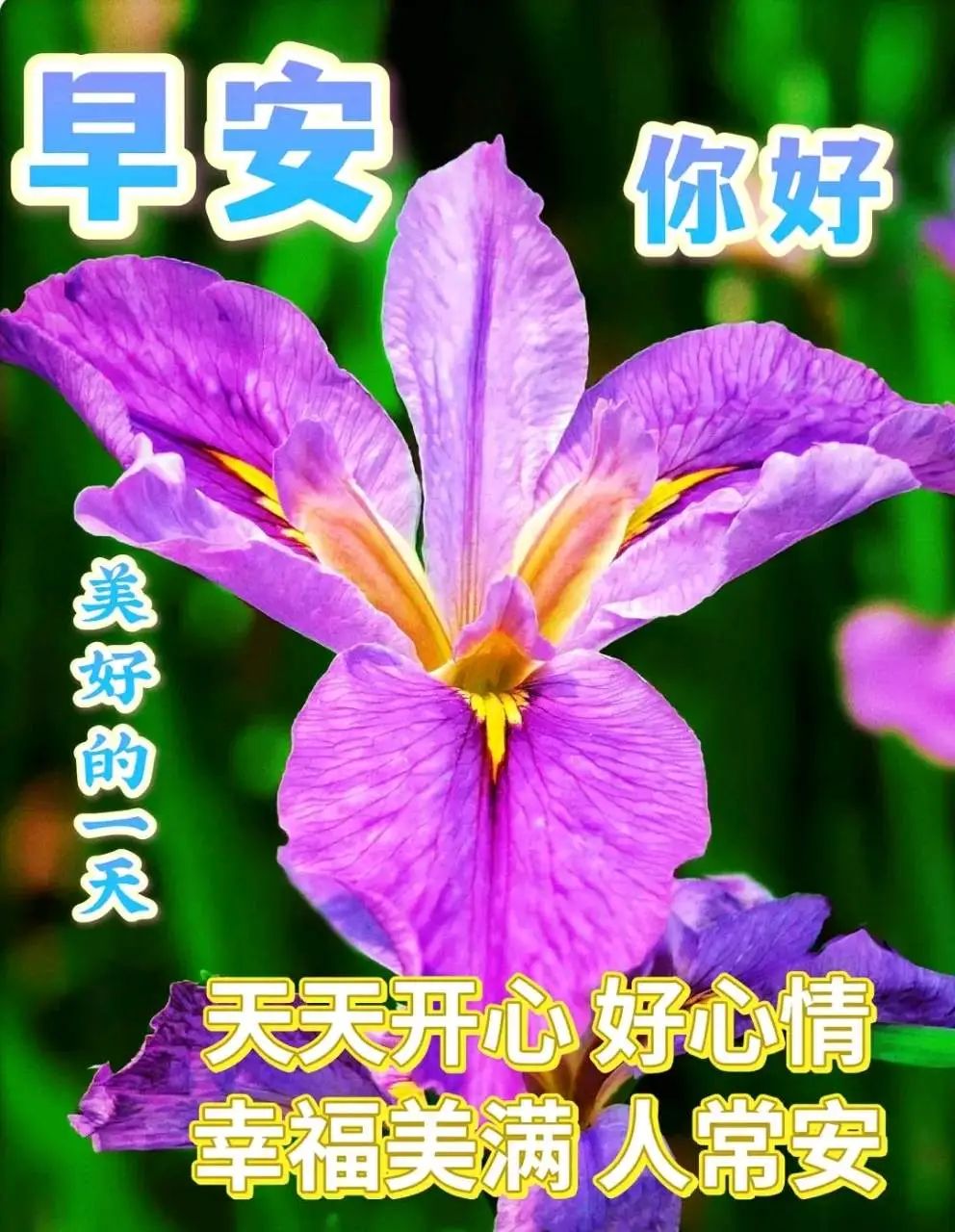 世界献上美好的祝福_美好世界献上祝福_最美好世界献上祝福