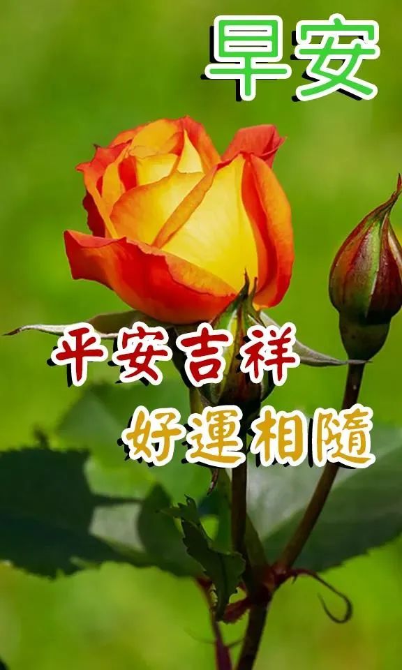 来自爱人的礼物英文_爱来自_来自爱因斯坦的爱