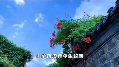 五月七日茴香姓什么_五月七日茴香和谁在一起了_五月七日茴香