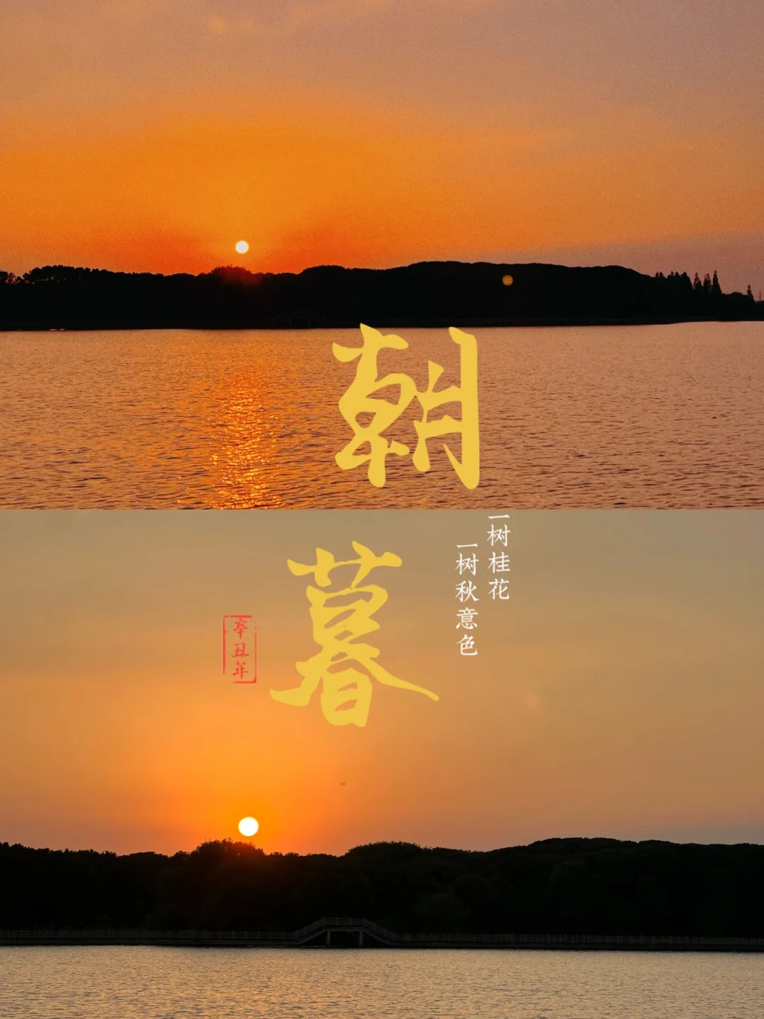弗里敦_弗里敦怎么读_弗里敦塞拉利昂