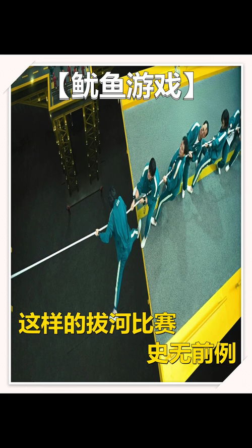 鱿鱼影游戏