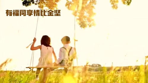 情比金坚