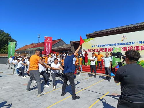 中国传统体育游戏,探寻中国传统体育游戏的魅力与智慧