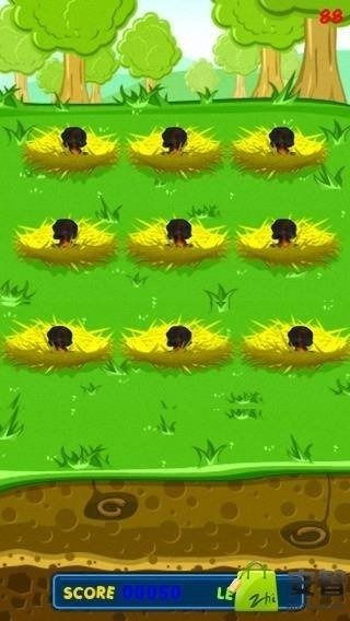 鸡下蛋的游戏,趣味盎然的亲子互动游戏体验